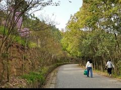 -雨花胜境