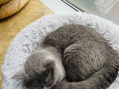 -Catmate·猫肥家润(金润铂宫店)