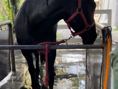 -昆城国际马术中心
