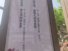 -曹州牡丹园