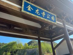 -金龙寺国家森林公园