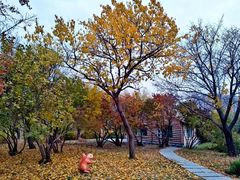 -长春公园(普阳街道)