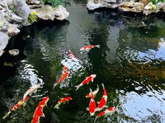 -鲤院·新中式美学·庭院餐厅(夫子庙店)