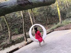 -石燕湖生态旅游景区
