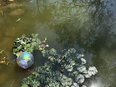 -人民公园(罗湖区)