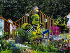 -上海共青森林公园