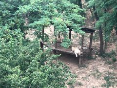 -石家庄市动物园