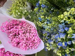 -循礼门鲜花花市(武汉循礼门店)