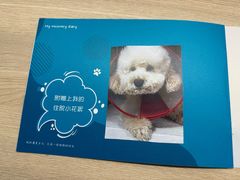 -美联众合动物医院·24h转诊中心