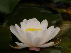-前关湿地公园