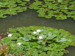 -白塘生态植物园