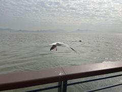 -深圳湾公园(南山区)