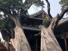 -晋祠公园