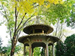 -玲珑塔公园