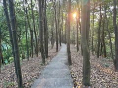 -广州市帽峰山景区