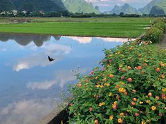 -西湖天地