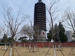 -西海子公园