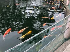 景观位-湖鲜楼
