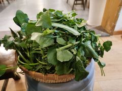 -攀枝花野菜铜火锅(万科凯德店)