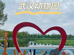 -武汉动物园