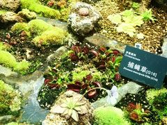 -国家植物园南园