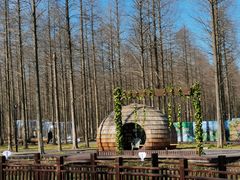 -黄海国家森林公园