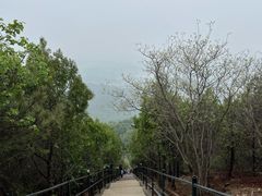 -红螺寺