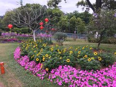 -东莞植物园
