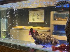 -新荣记(建国门外大街店)