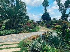-东莞植物园