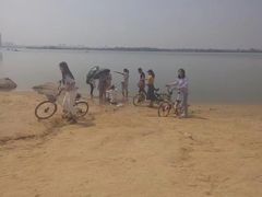 -瑶湖郊野森林公园