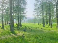 -四明湖