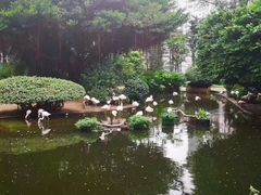 -九龙寨城公园