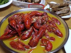 -杨氏青龙虾·羊蝎子(托乐嘉店)