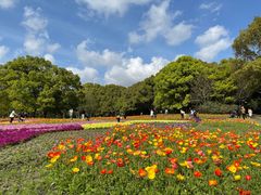 -上海共青森林公园