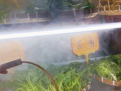 -重庆高老九火锅(万象城店)