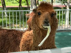 -水上乐园·欢乐世界