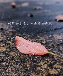 -HEYAN荷妍专业脱毛连锁机构