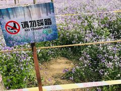 -将府公园
