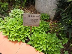 -广州神农草堂中医药博物馆