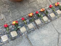-王家壹号