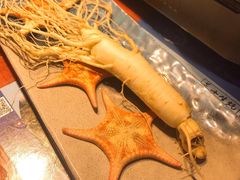 -千岛蚝高压锅生蚝·人参火锅(白云万达店)