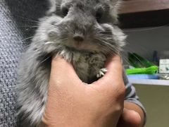 -龙猫仔乐园(惠福东路店)