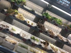 自助取餐区-屋头串串(新街里店)