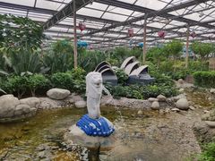 -南宫五洲植物乐园