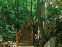 -大岭沟猕猴桃谷风景区
