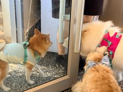 -小意思咖啡店(草桥店)