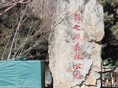 -静之湖度假区