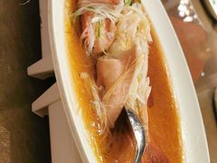 清蒸东星斑-苏浙总会(国金中心店)
