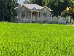 -桤木河湿地公园